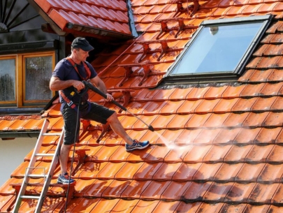 Roof Cleaning Service