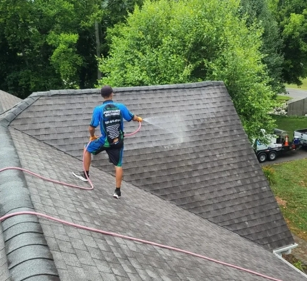 Roof Moss Removal Chicago